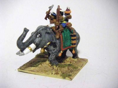 Indian Elephant
Meaty! 
Keywords: indian hindu