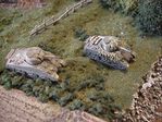 British_pair_of_Sherman_75mm.jpg