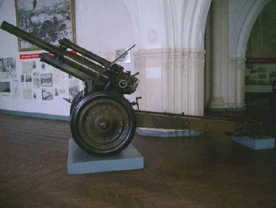 russian_gun_2.JPG