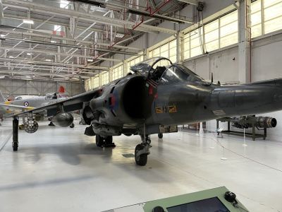 Harrier
