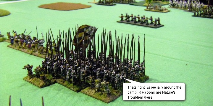 FoGR, Early Renaissance: Kalmar Union vs Scots, 15mm