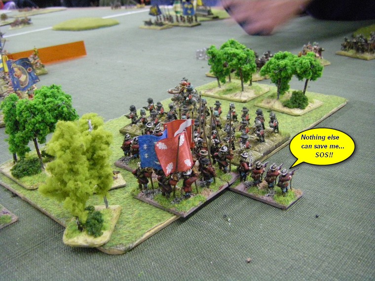 FoGR Thirty Year's War: Swedish vs Early Swedish, 15mm